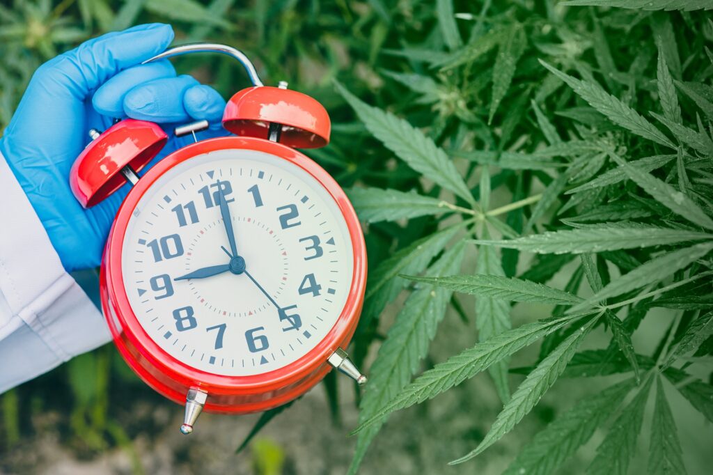 Longevity of Drugs in the System