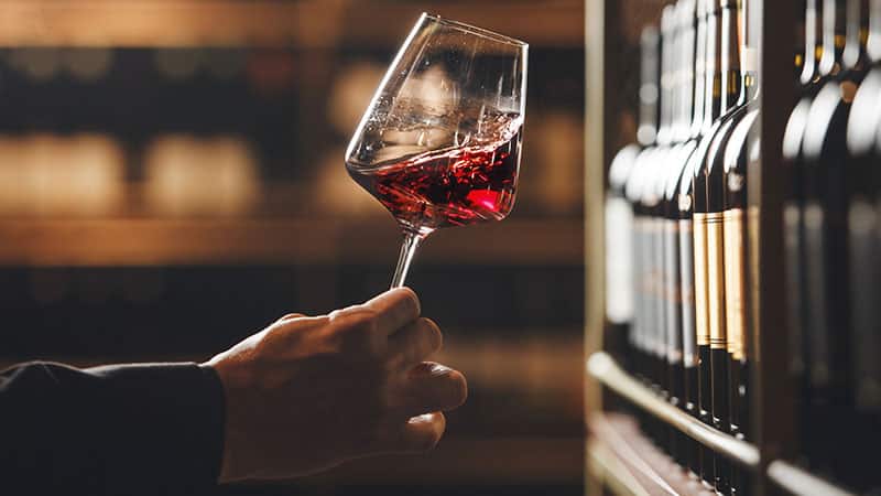 Sommelier is closely examining glass of red wine